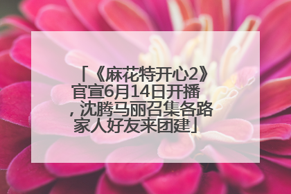 《麻花特开心2》官宣6月14日开播，沈腾马丽召集各路家人好友来团建
