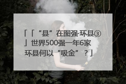 「“县”在图强·环县③」世界500强一年6家 环县何以“吸金”？