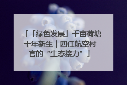 「绿色发展」千亩荷塘 十年新生｜四任航空村官的“生态接力”