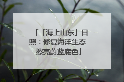 「海上山东」日照：修复海洋生态 擦亮蔚蓝底色