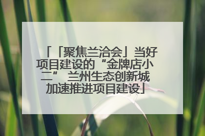 「聚焦兰洽会」当好项目建设的“金牌店小二” 兰州生态创新城加速推进项目建设