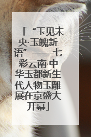 “玉见未央·玉魄新语”——七彩云南·中华玉都新生代人物玉雕展在京盛大开幕