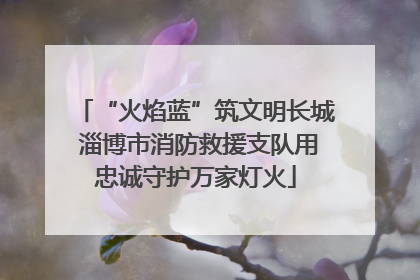 “火焰蓝”筑文明长城 淄博市消防救援支队用忠诚守护万家灯火