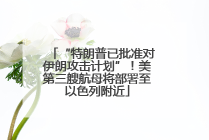 “特朗普已批准对伊朗攻击计划”！美第三艘航母将部署至以色列附近