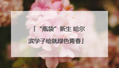 “瓶袋”新生 哈尔滨学子绘就绿色青春