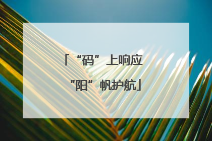 “码”上响应 “阳”帆护航
