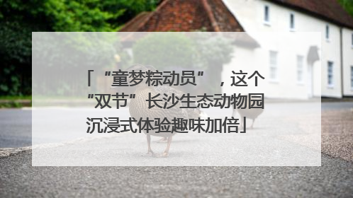 “童梦粽动员”，这个“双节”长沙生态动物园沉浸式体验趣味加倍