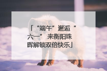 “端午”邂逅“六一” 来衡阳珠晖解锁双倍快乐