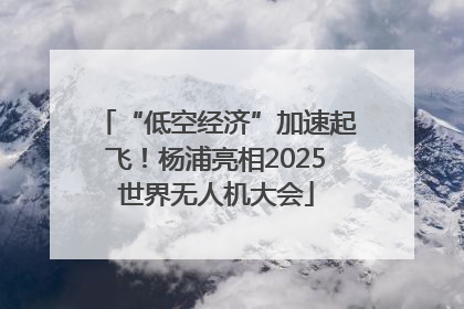 “低空经济”加速起飞！杨浦亮相2025世界无人机大会
