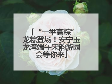 “一举高粽” 龙粽登场！安宁玉龙湾端午宋韵游园会等你来
