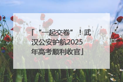 “一起交卷”！武汉公安护航2025年高考顺利收官