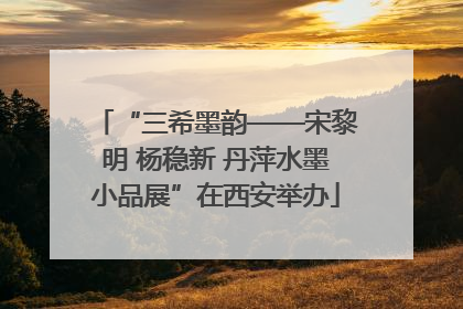 “三希墨韵——宋黎明 杨稳新 丹萍水墨小品展”在西安举办