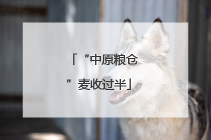 “中原粮仓”麦收过半