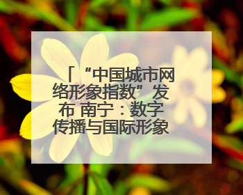 “中国城市网络形象指数”发布 南宁：数字传播与国际形象的西部窗口