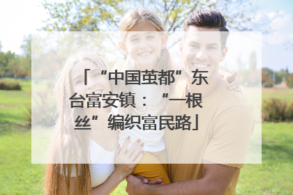 “中国茧都”东台富安镇：“一根丝”编织富民路
