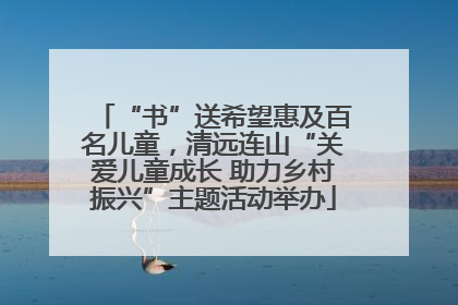 “书”送希望惠及百名儿童，清远连山“关爱儿童成长 助力乡村振兴”主题活动举办