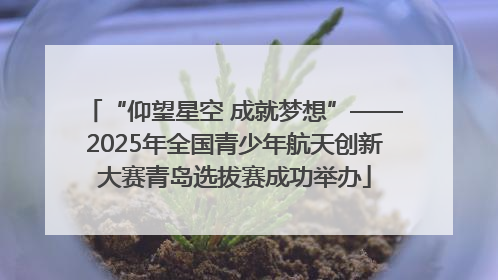 “仰望星空 成就梦想”——2025年全国青少年航天创新大赛青岛选拔赛成功举办