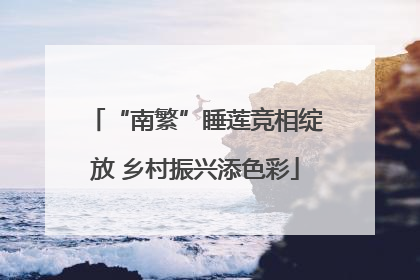 “南繁”睡莲竞相绽放 乡村振兴添色彩
