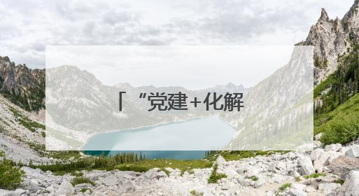 “党建+化解”构筑基层治理安全堤坝