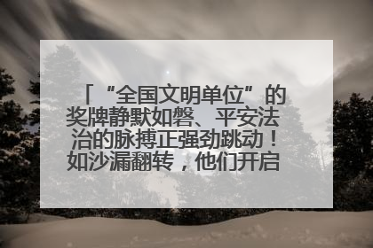 “全国文明单位”的奖牌静默如磐、平安法治的脉搏正强劲跳动！如沙漏翻转，他们开启了全新的计时