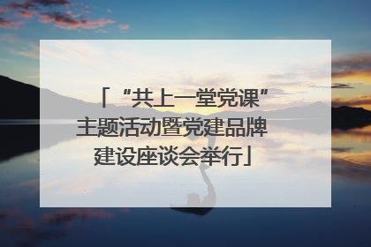 “共上一堂党课”主题活动暨党建品牌建设座谈会举行