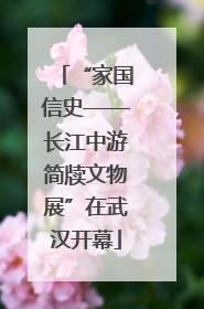 “家国信史——长江中游简牍文物展”在武汉开幕
