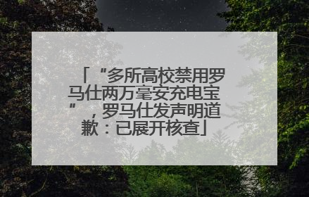 “多所高校禁用罗马仕两万毫安充电宝”，罗马仕发声明道歉：已展开核查