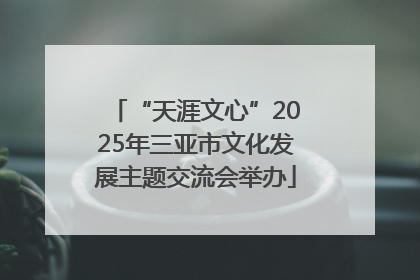 “天涯文心”2025年三亚市文化发展主题交流会举办