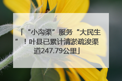 “小沟渠”服务“大民生”！叶县已累计清淤疏浚渠道247.79公里