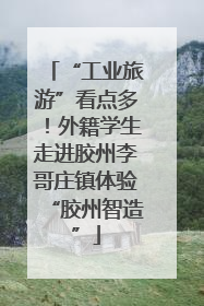 “工业旅游”看点多！外籍学生走进胶州李哥庄镇体验“胶州智造”