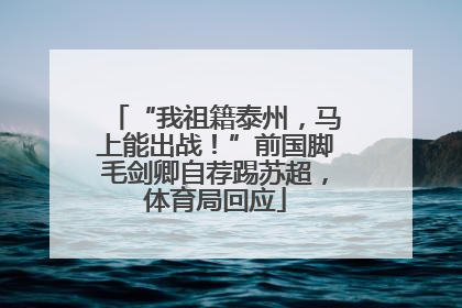 “我祖籍泰州，马上能出战！”前国脚毛剑卿自荐踢苏超，体育局回应