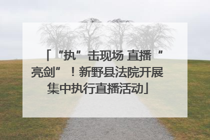 “执”击现场 直播“亮剑”！新野县法院开展集中执行直播活动