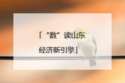 “数”读山东经济新引擎