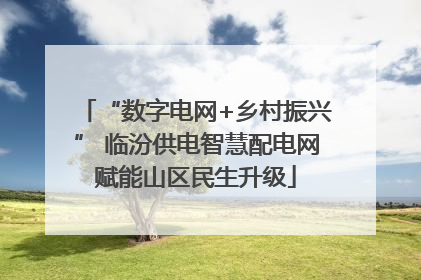 “数字电网+乡村振兴” 临汾供电智慧配电网赋能山区民生升级