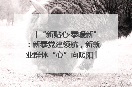 “新贴心·泰暖新”：新泰党建领航，新就业群体“心”向暖阳