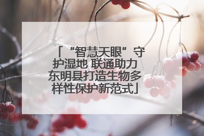 “智慧天眼”守护湿地 联通助力东明县打造生物多样性保护新范式