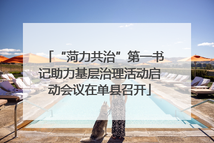 “菏力共治”第一书记助力基层治理活动启动会议在单县召开