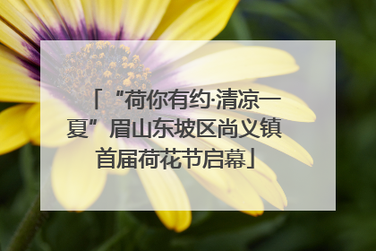 “荷你有约·清凉一夏”眉山东坡区尚义镇首届荷花节启幕
