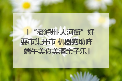 “老泸州·大河街”好耍市集开市 机器狗助阵端午美食美酒亲子乐