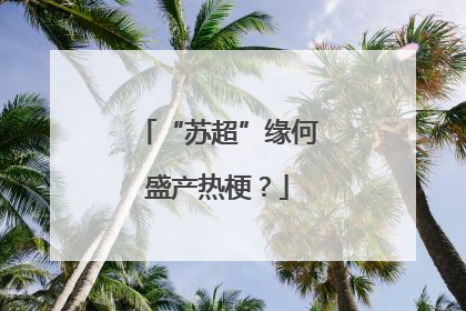 “苏超”缘何盛产热梗？