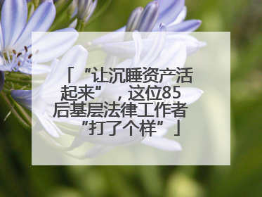 “让沉睡资产活起来”，这位85后基层法律工作者“打了个样”