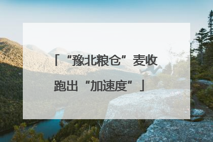“豫北粮仓”麦收跑出“加速度”
