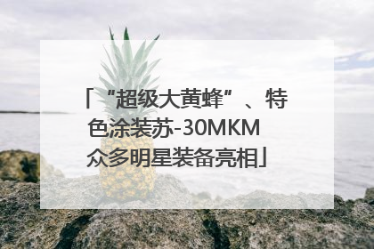 “超级大黄蜂”、特色涂装苏-30MKM 众多明星装备亮相