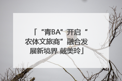 “青BA”开启“农体文旅商”融合发展新境界 戴美玲