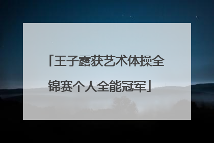 王子露获艺术体操全锦赛个人全能冠军