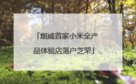 烟威首家小米全产品体验店落户芝罘