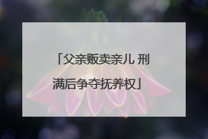 父亲贩卖亲儿 刑满后争夺抚养权