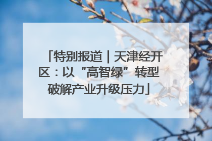 特别报道｜天津经开区：以“高智绿”转型破解产业升级压力