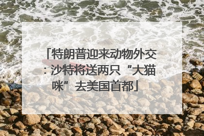 特朗普迎来动物外交：沙特将送两只“大猫咪”去美国首都
