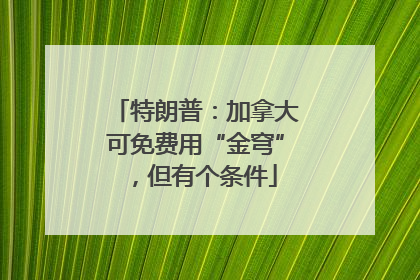 特朗普：加拿大可免费用“金穹”，但有个条件